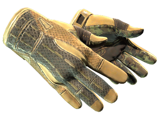 ★ Sport Gloves | Arid