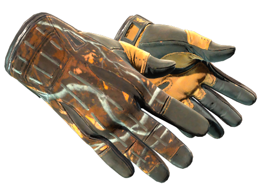 ★ Sport Gloves | Big Game