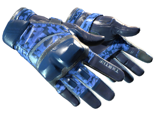 ★ Moto Gloves | Polygon